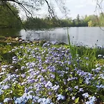 Seeblick *
