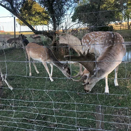Apartment Seeblick Muhlau