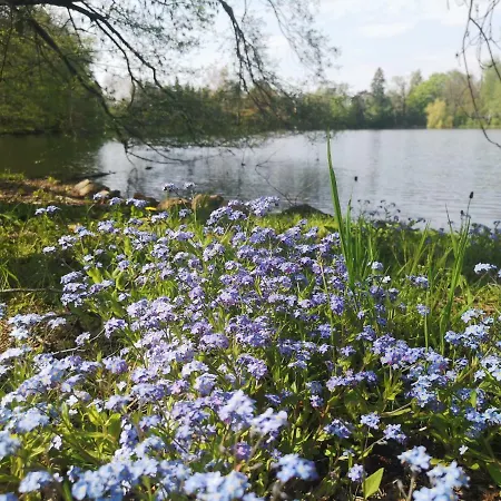 Seeblick *