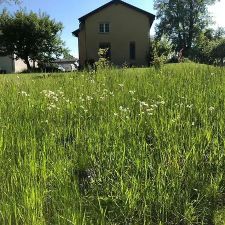 Seeblick Muhlau