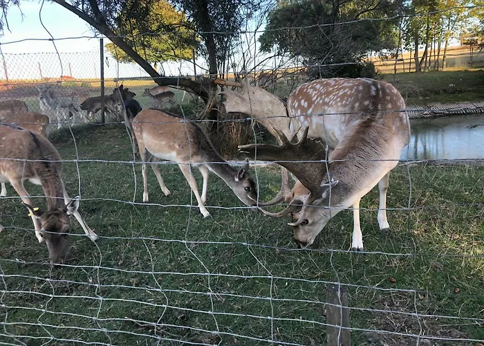 Apartmán Seeblick Muhlau